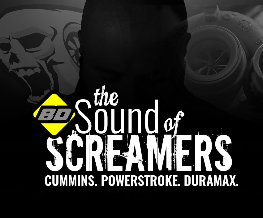 BD Sound of Screamers